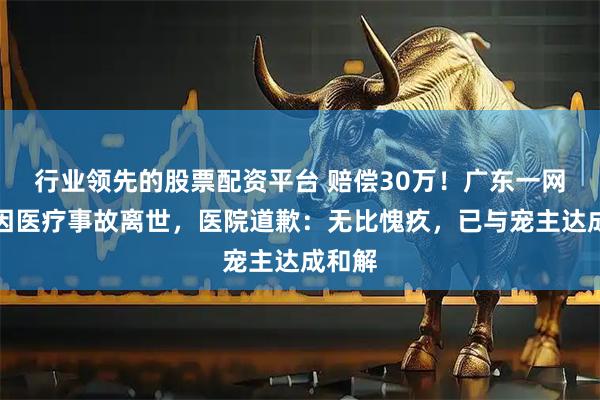 行业领先的股票配资平台 赔偿30万！广东一网红猫因医疗事故离世，医院道歉：无比愧疚，已与宠主达成和解