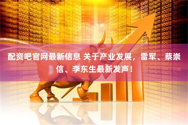 配资吧官网最新信息 关于产业发展，雷军、蔡崇信、李东生最新发声！